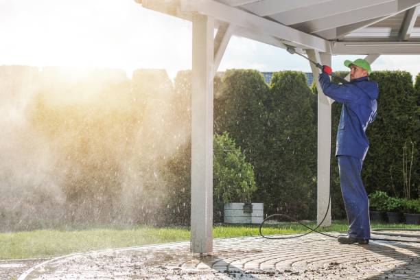 Best Roof Washing  in St Louis, MI