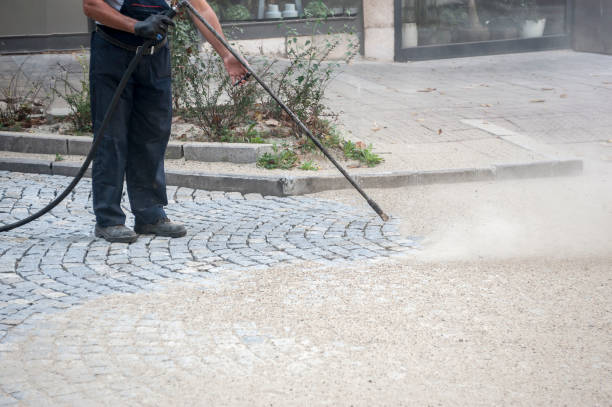 Best Animal Enclosure Cleaning  in St Louis, MI