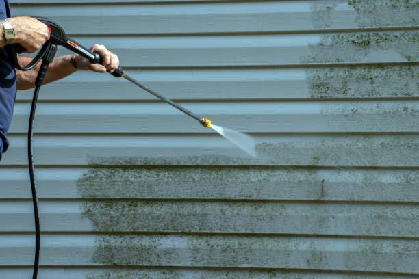 Best Paint Preparation  in St Louis, MI